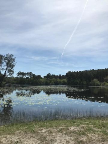 Village Vacances Aux Villages Sous Les Pins Léon Εξωτερικό φωτογραφία