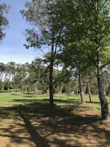 Village Vacances Aux Villages Sous Les Pins Léon Εξωτερικό φωτογραφία